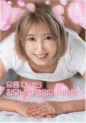 秋季档剧集排播资讯配图